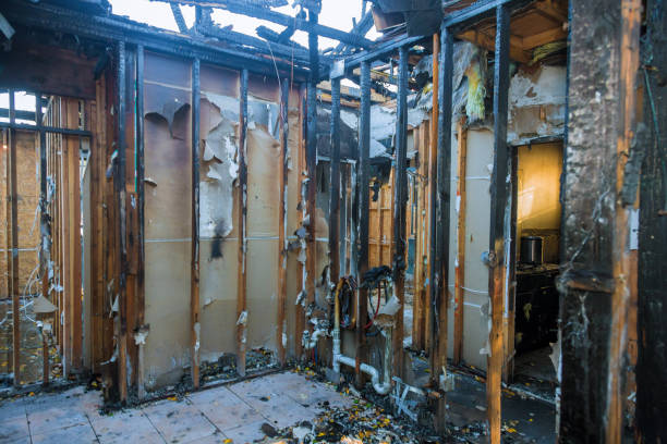 Professional Smoke Damage Removal technician working in Poolesville, MD